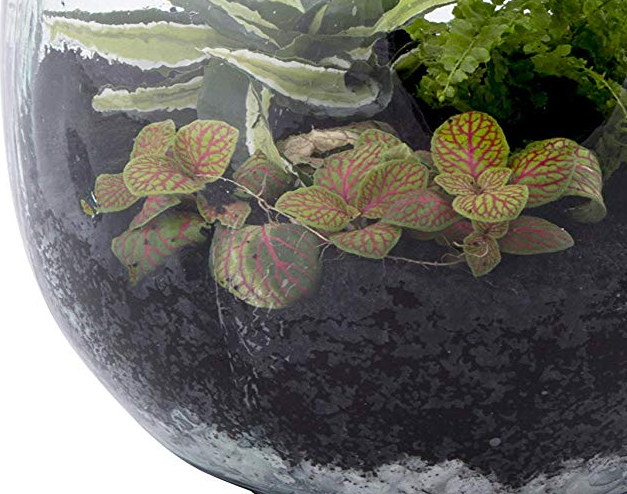 SUBSTRATO 5 LITRI PER ECOSISTEMA TERRARIUM