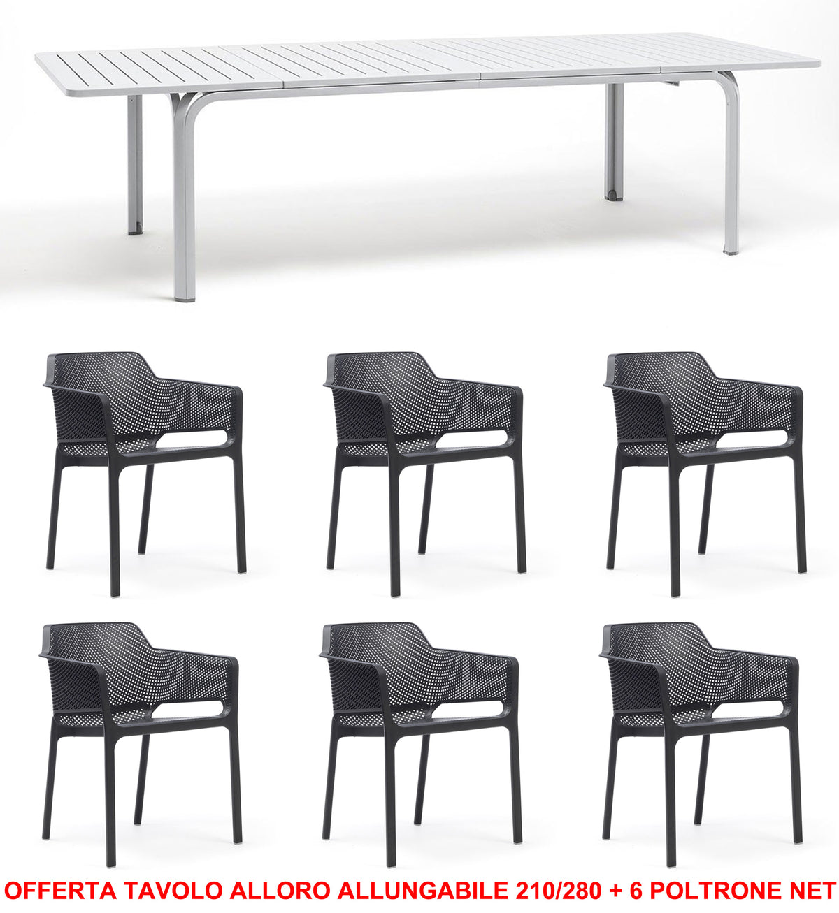 OFFERTA TAVOLO ALLORO ALLUNGABILE 210/280 + 6 POLTRONE NET COLORE A SCELTA