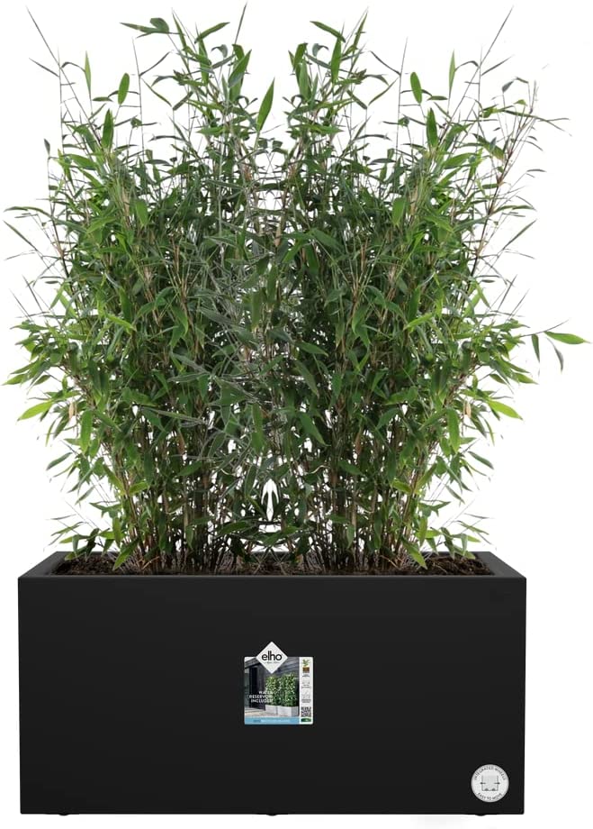 VASO VIVO NEXT LONG 60CM LIVING BLACK NERO