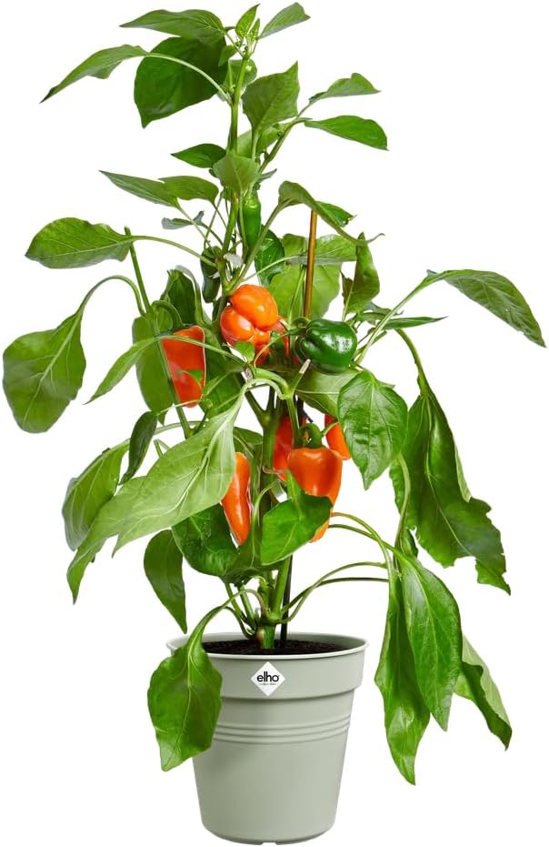 VASO GREEN BASICS GROWPOT 40CM VERDE PIETRA