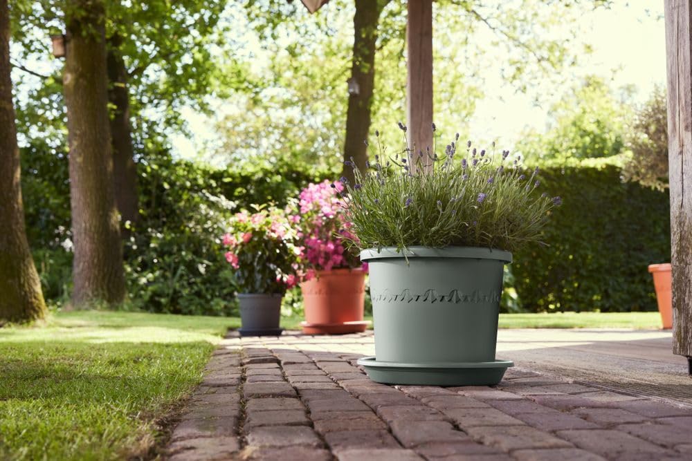 SOTTOVASO UNIVERSAL SAUCER ROUND 25CM VERDE TIMO