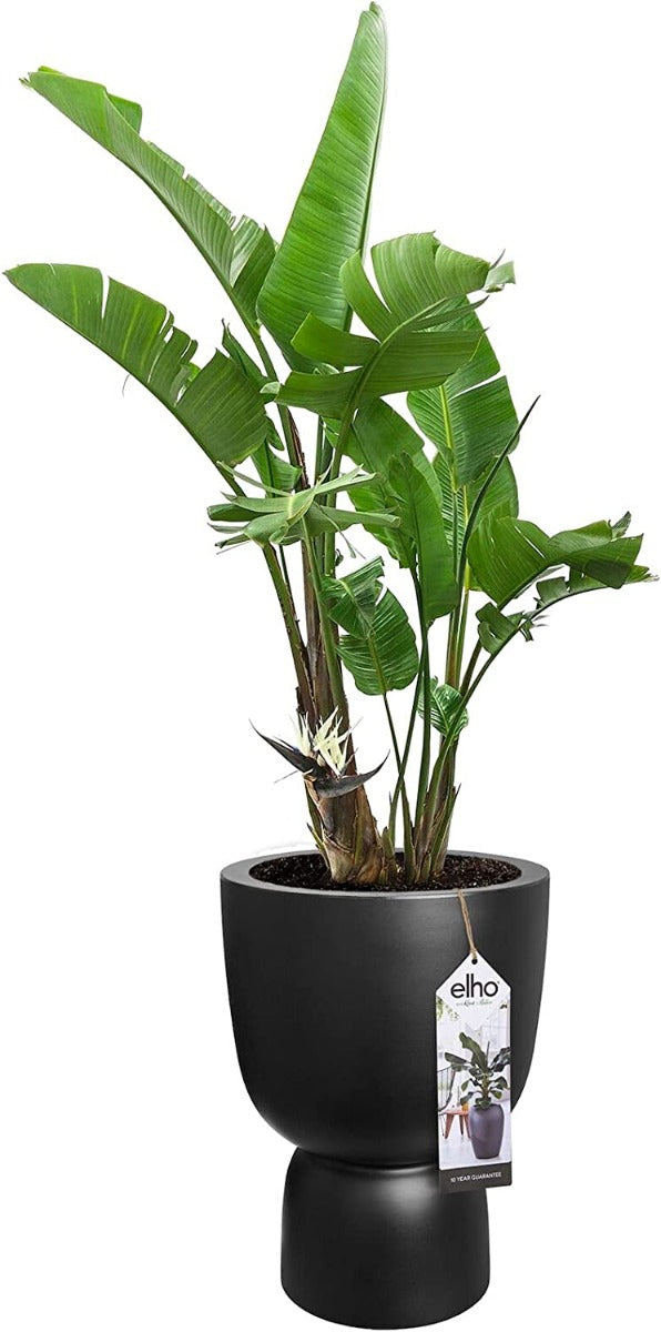 VASO PURE COUPE 35 BLACK