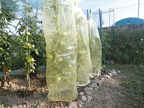 FILM TUBOLARE PER POMODORI MR TOMATO 0.60x10M