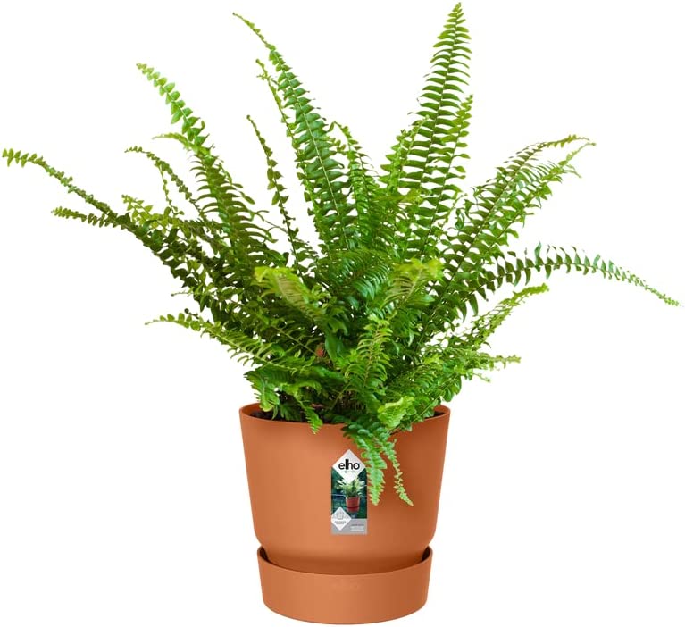VASO GREENVILLE EASY HANGER SINGLE GINGER BROWN