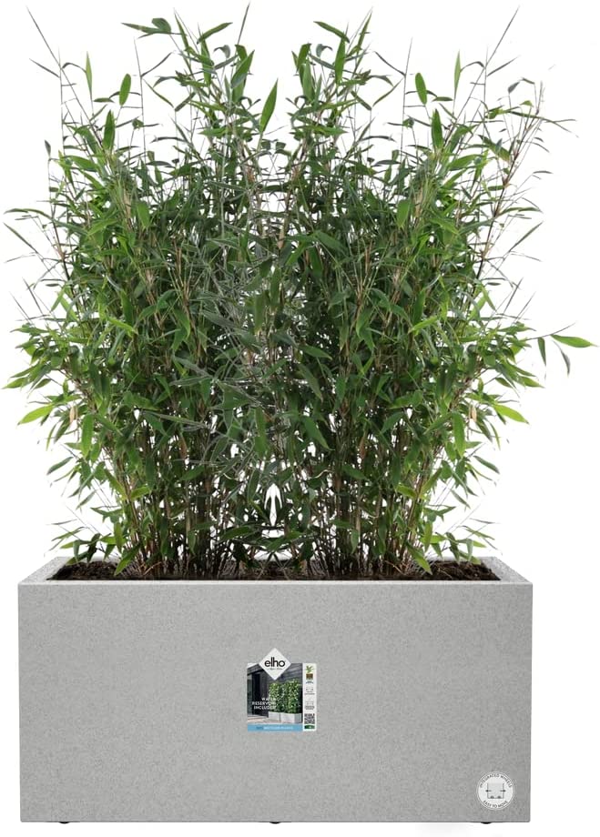 VASO VIVO NEXT LONG 80CM LIVING CONCRETE GRIGIO CHIARO