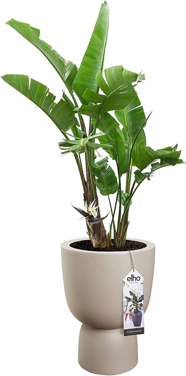 VASO PURE COUPE 41 BALANCED BEIGE