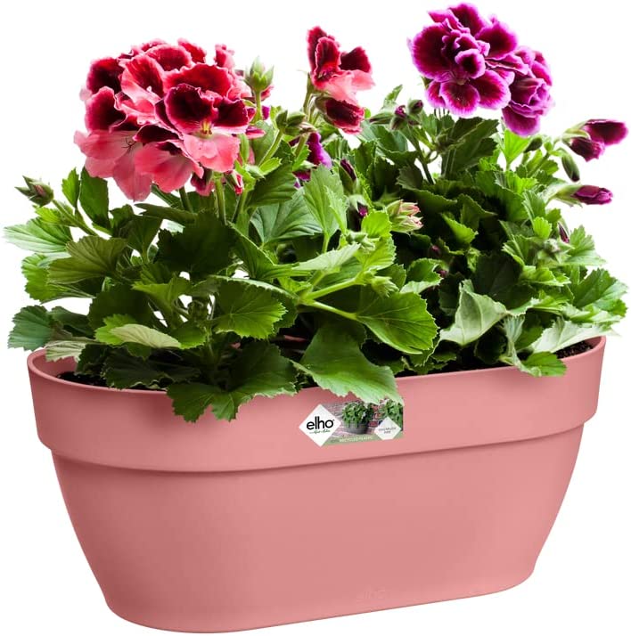 VASO BALCONETTA VIBIA CAMPANA WALL BASKET 35CM DUSTY PINK