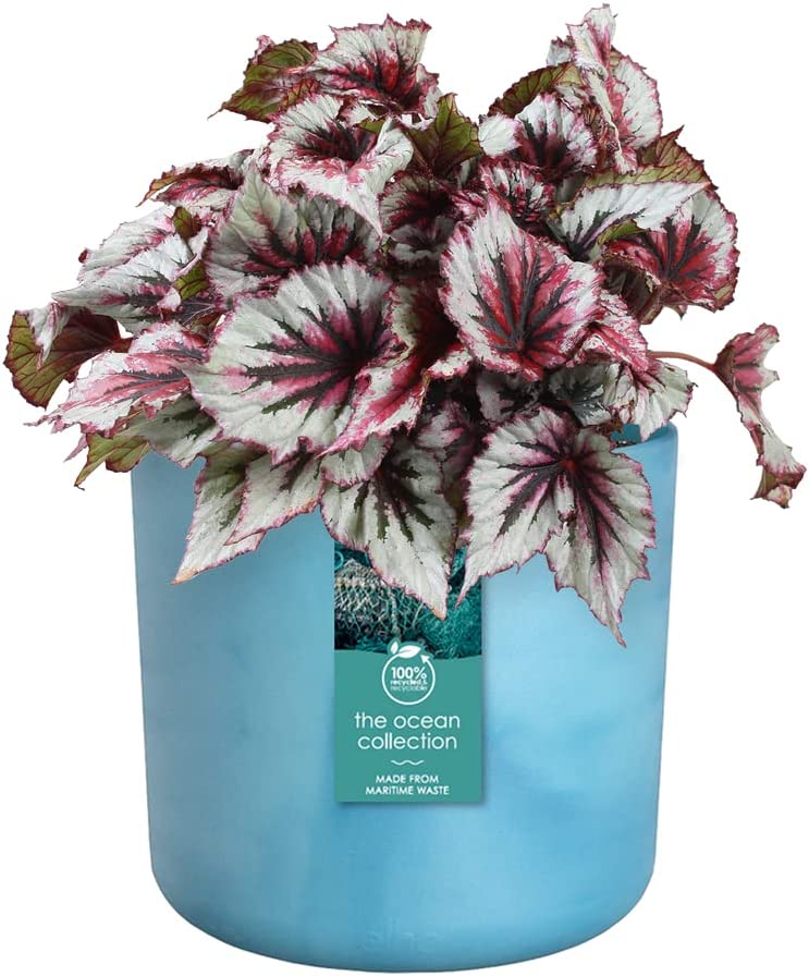 VASO THE OCEAN COLLECTION ROUND 16CM BLU ATLANTICO