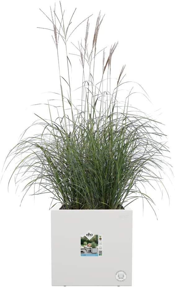 VASO VIVO NEXT SQUARE 30CM BIANCO
