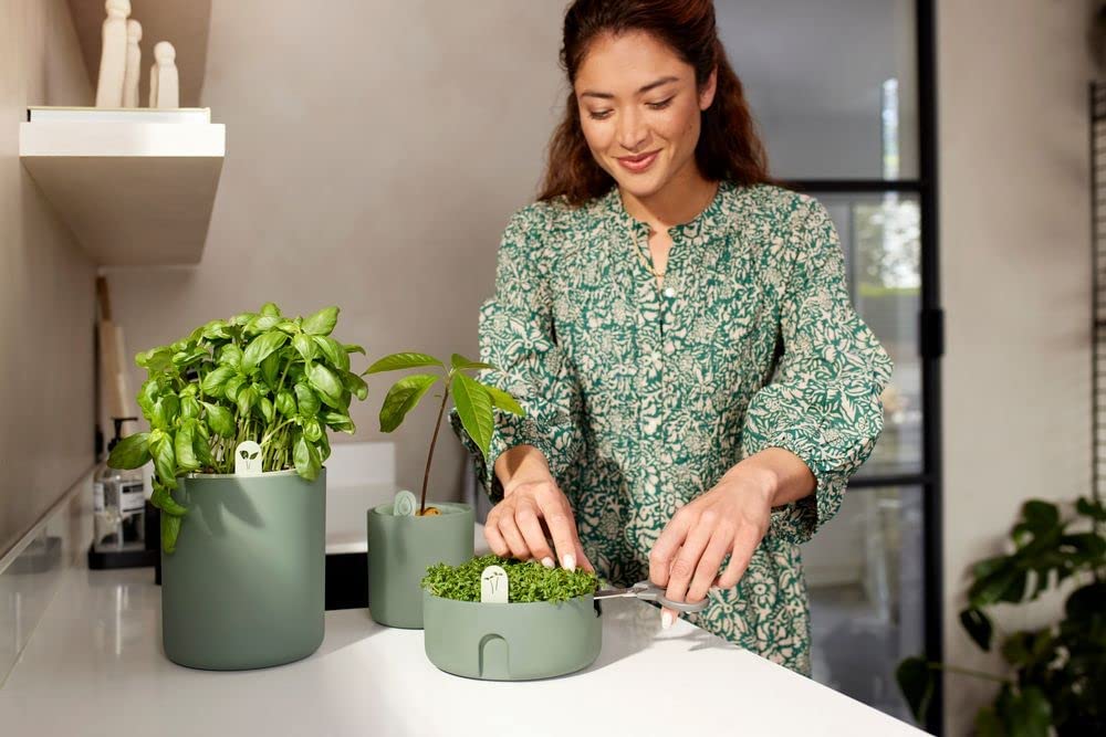 VASO DA COLTURA MAGIC MICROGREENS LEAF GREEN