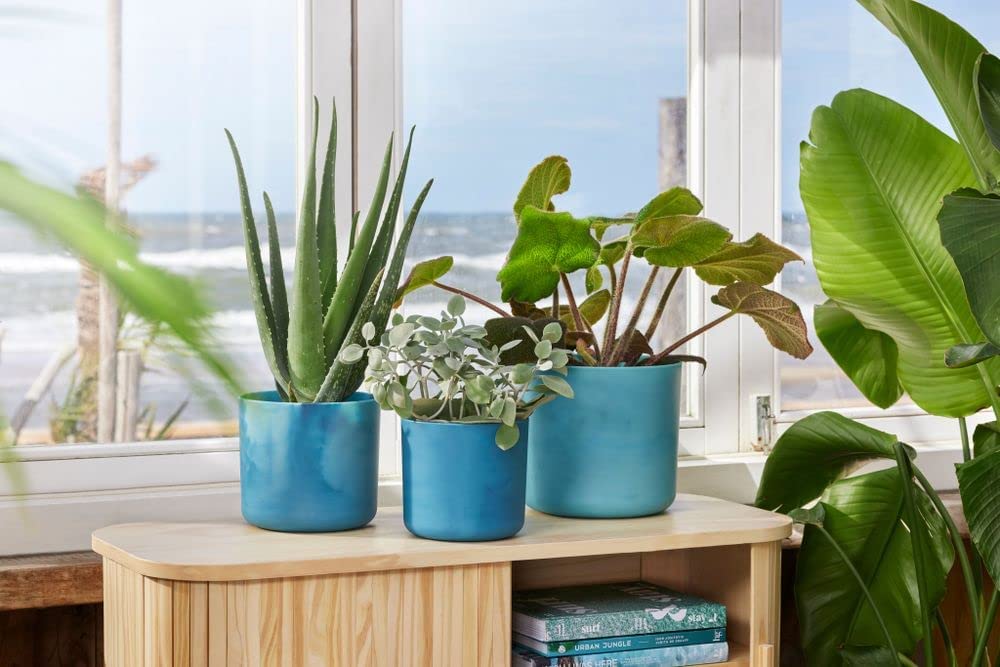 VASO THE OCEAN COLLECTION ROUND 16CM BLU ATLANTICO