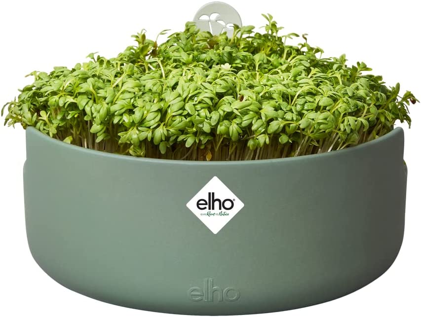 VASO DA COLTURA MAGIC MICROGREENS LEAF GREEN