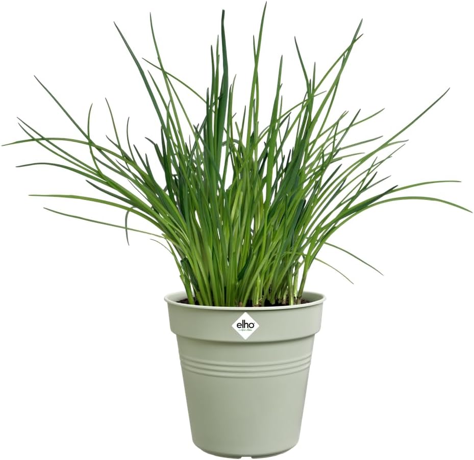 VASO GREEN BASICS GROWPOT 21CM VERDE PIETRA