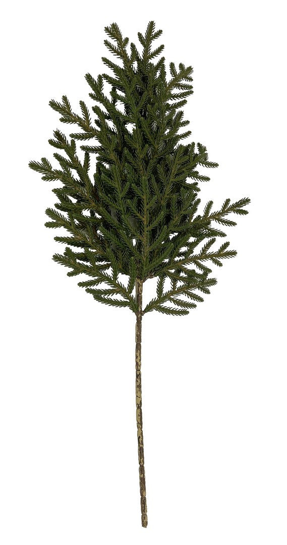 Ramo Pino Zwam 64cm Verde bizzotto