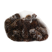 SACCHETTO CON PIGNE INNEVATE 200GR