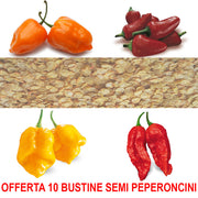 OFFERTA 10 BUSTINE SEMI DI PEPERONCINI A SCELTA
