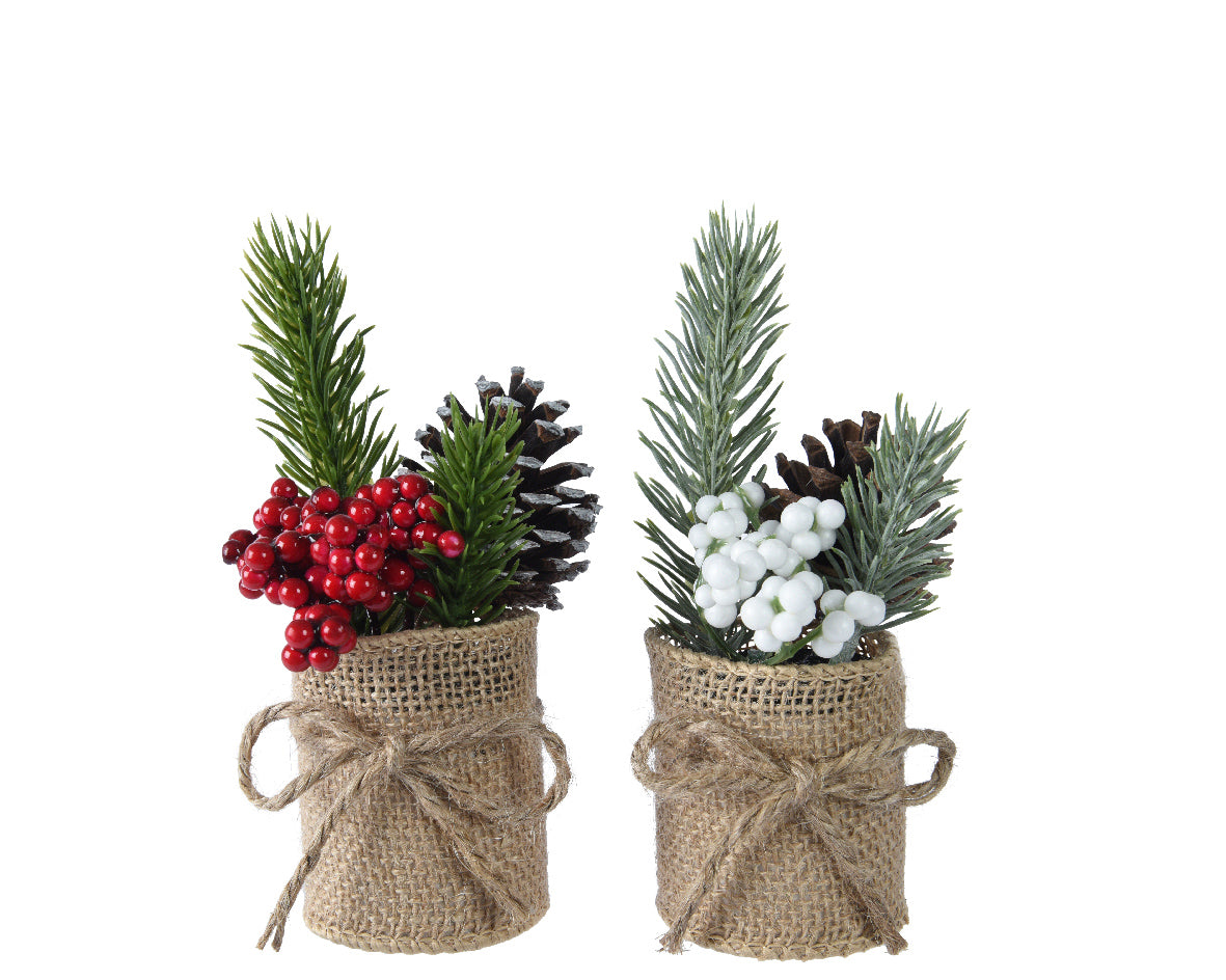 1 MINI ALBERO DI PINO CON BACCHE H15CM IN VASO DI JUTA MODELLO ASSORTITO