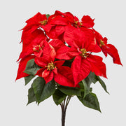 RAMO CON STELLA DI NATALE ROSSA H51CM