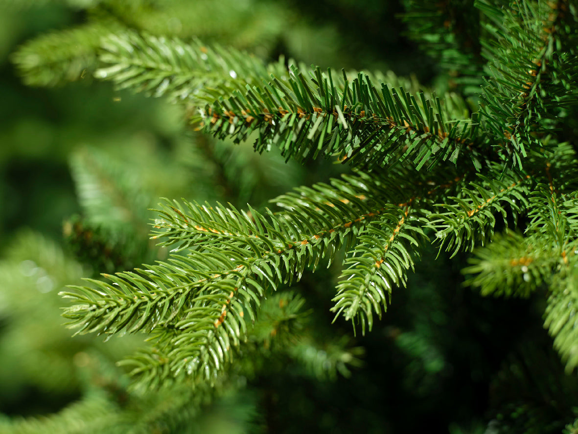 ALBERO DI NATALE ALLISON H210CM VERDE