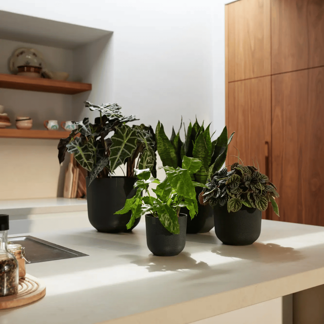 VASO JAZZ ROUND 14CM LIVING BLACK
