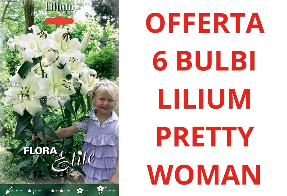 OFFERTA 6 BULBI DI LILIUM HYBRIDS PRETTY WOMAN