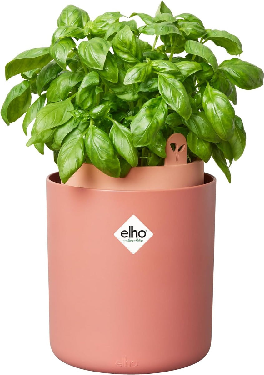 VASO PURE COUPE 35CM BALANCED BEIGE