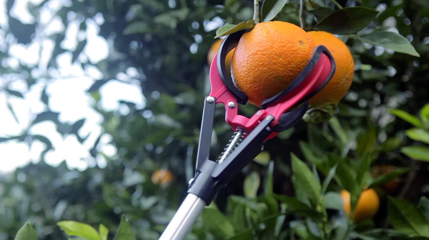 RACCOGLI FRUTTA IN ALLUMINIO 211CM