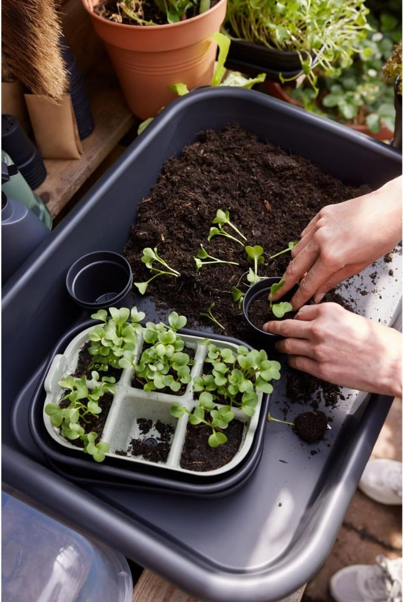 VASSOIO DA COLTIVAZIONE GREEN BASICS SEED TRAY 22CM VERDE PIETRA
