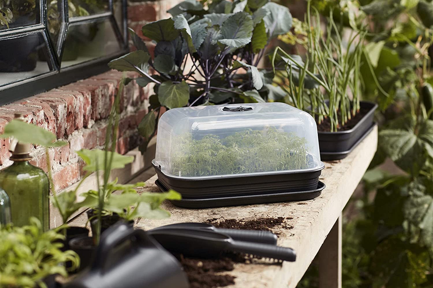 VASO DA COLTURA GREEN BASICS GROW KIT ALLIN1 40CM LIVING BLACK