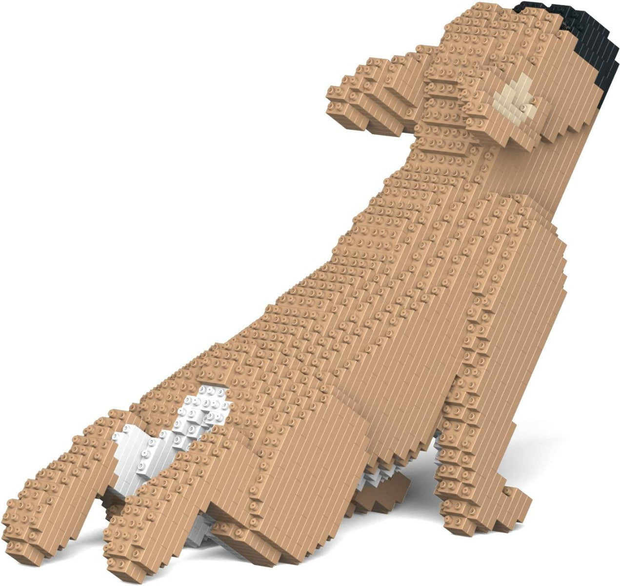 LEGO 3D CANE FRENCH BULLDOG 21,2CM