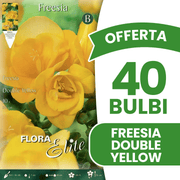 OFFERTA 40 BULBI FREESIA DOUBLE YELLOW
