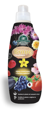 BRAVE ENERGIZZANTE 1LT