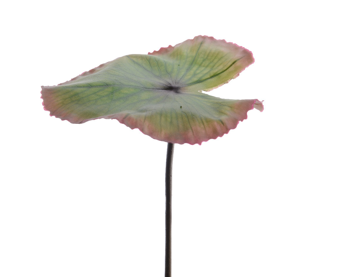 FOGLIA LOTO DECORATIVA 18X82CM VERDE