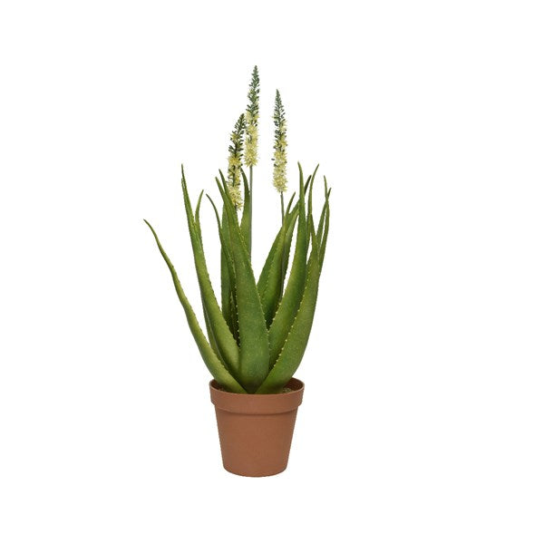 AGAVE ARTIFICIALE IN VASO 100X100CM CON FIORI BIANCHI