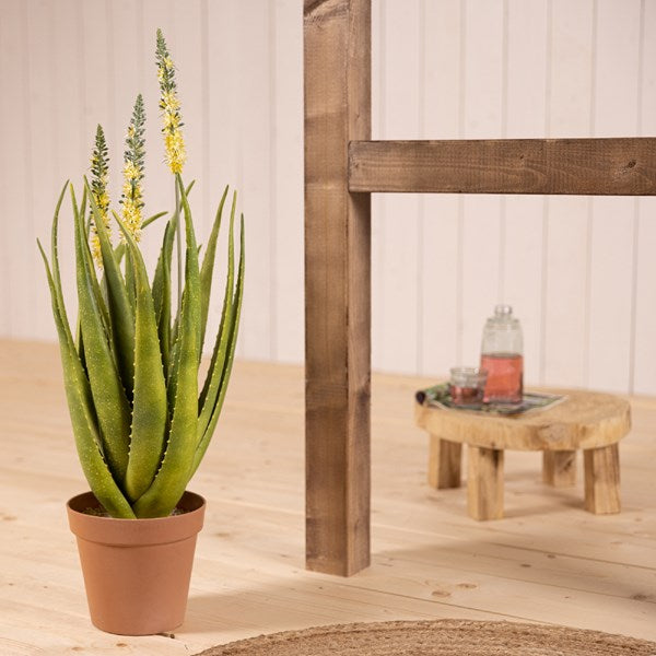 AGAVE ARTIFICIALE IN VASO 100X100CM CON FIORI BIANCHI