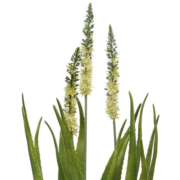 AGAVE ARTIFICIALE IN VASO 100X100CM CON FIORI BIANCHI