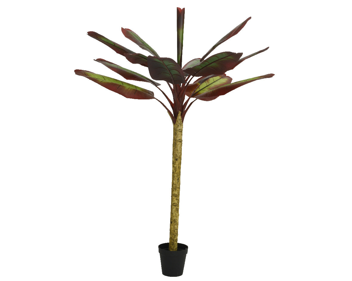 PIANTA DI BANANO ARTIFICIALE IN VASO 165X165X260CM