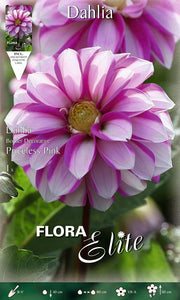 DAHLIA DA BORDURA PRICELESS PINK (CONFEZIONE DA 1 BULBO)