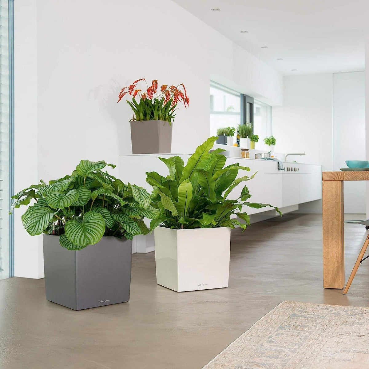 VASO CUBE PREMIUM 40X40X40 ANTRACITE METALLIZZATO