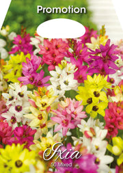 Ixia Mixte (PAQUET DE 50 AMPOULES)