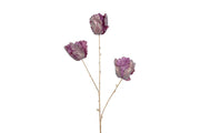 Tulipani Finti Viola (x3)