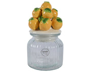 BARATTOLO IN VETRO CON TAPPO LIMONI D11 X H19 CM