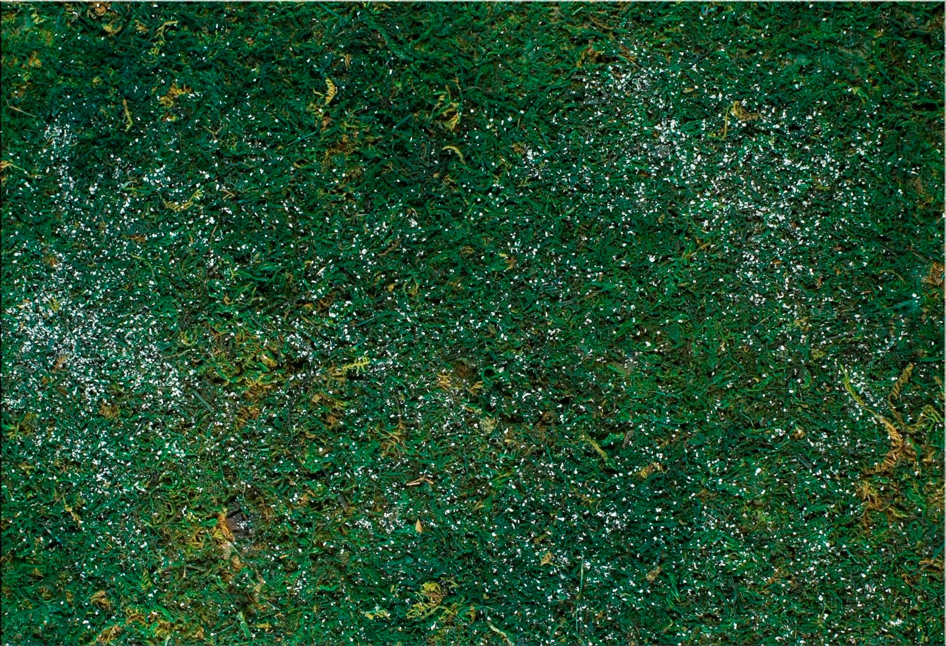 FOGLIO CARTA CON MUSCHIO INNEVATO 70X50CM