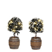 2 BOSSI IN BOTTE - BUSH IN BARREL 8.5CM