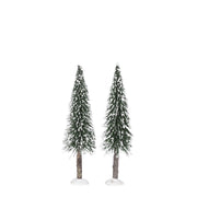 FIGURA 2 ALBERI INNEVATI - SNOWY BRISTLE TREE ON LOG