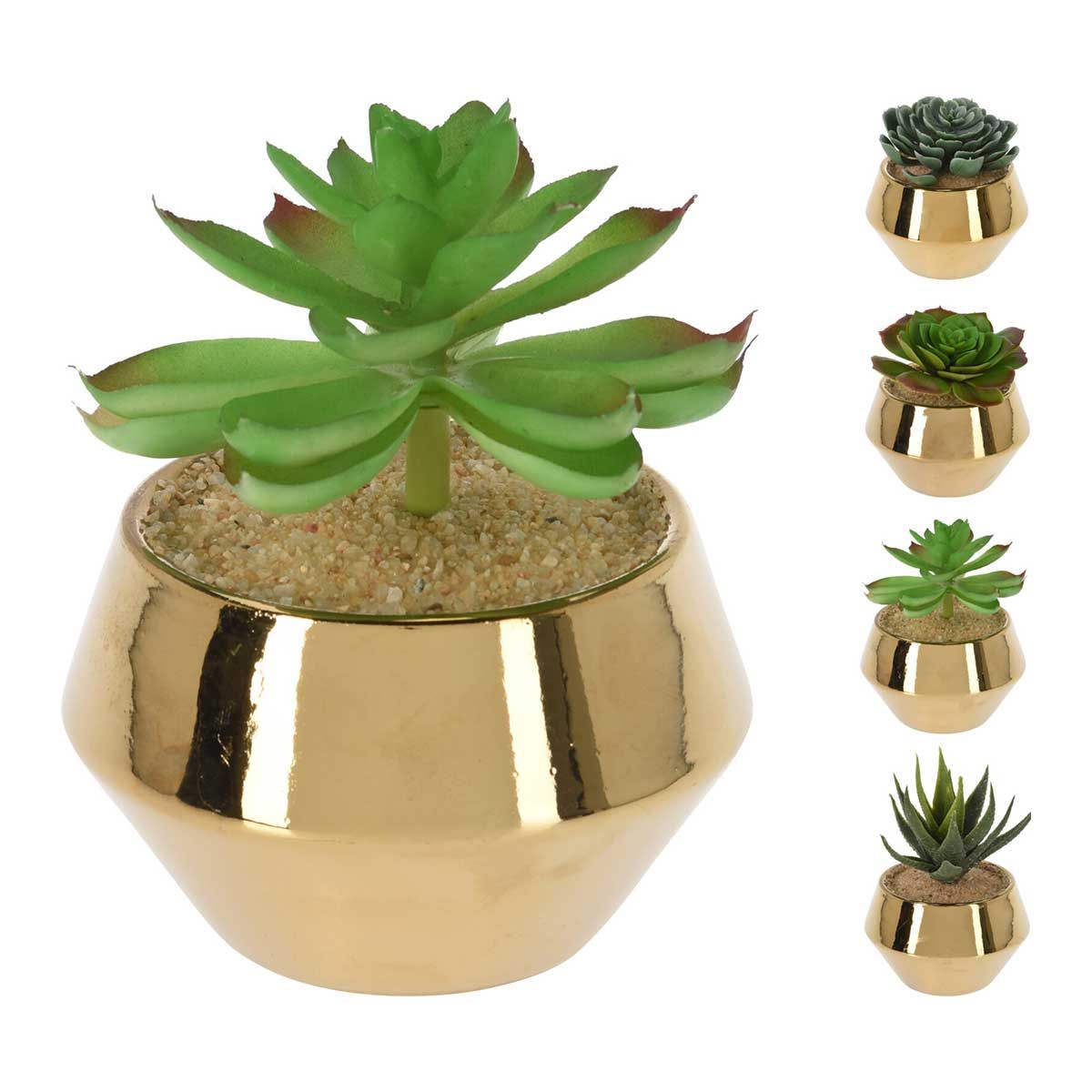 VASO CON PIANTA GRASSA 13X17 CM ASSORTITA