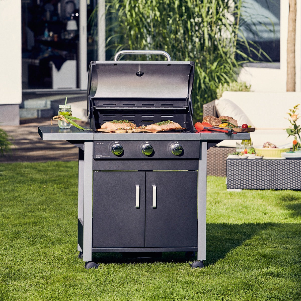 BARBECUE A GAS CHICAGO 3