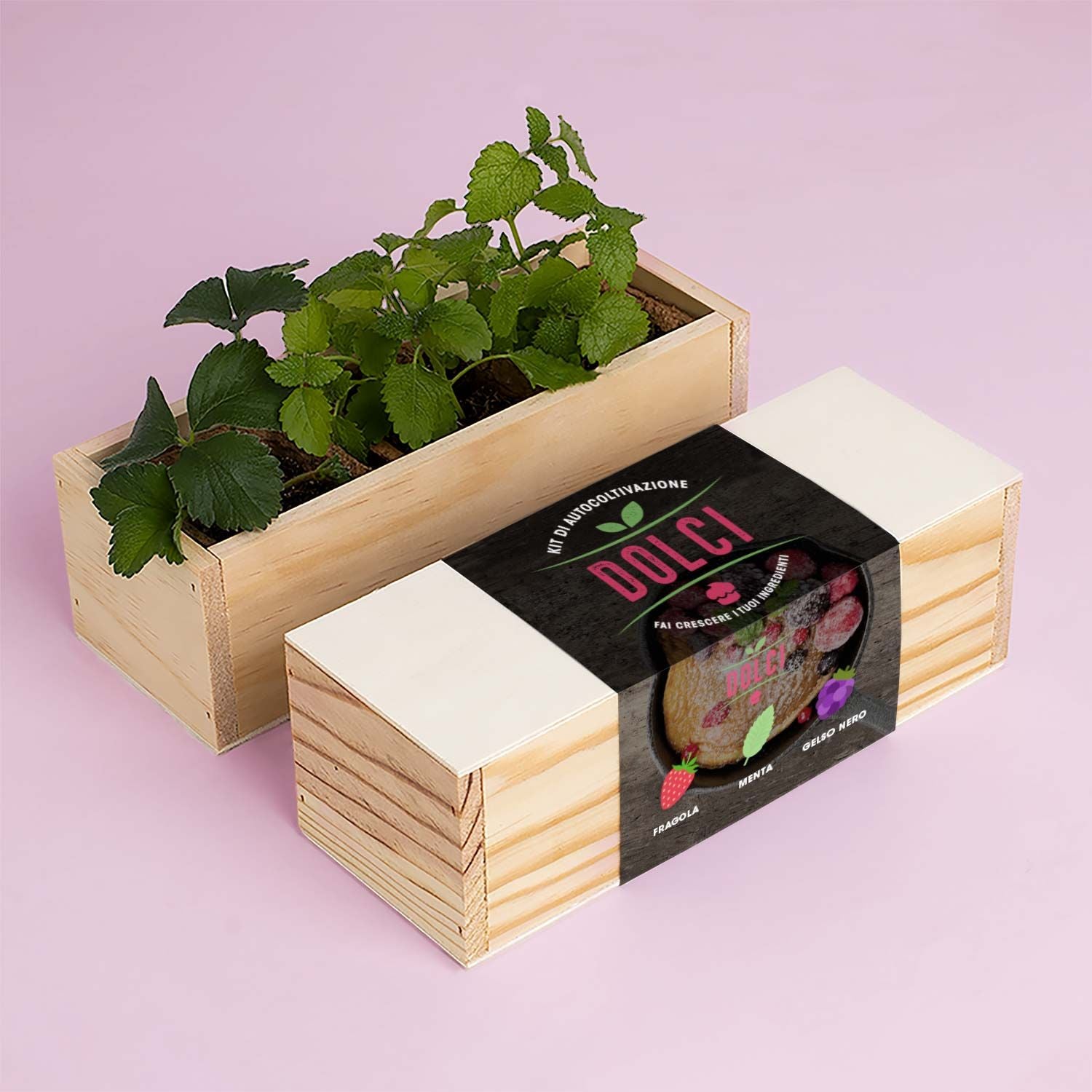 Resetea, Kit di autocoltivazioni Dolci (fragola, menta e gelso nero) legno naturale