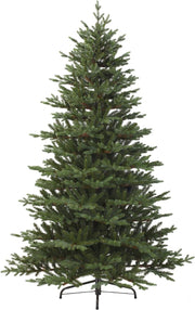 ALBERO DI NATALE 210CM QUEENSLAND FIR VERDE
