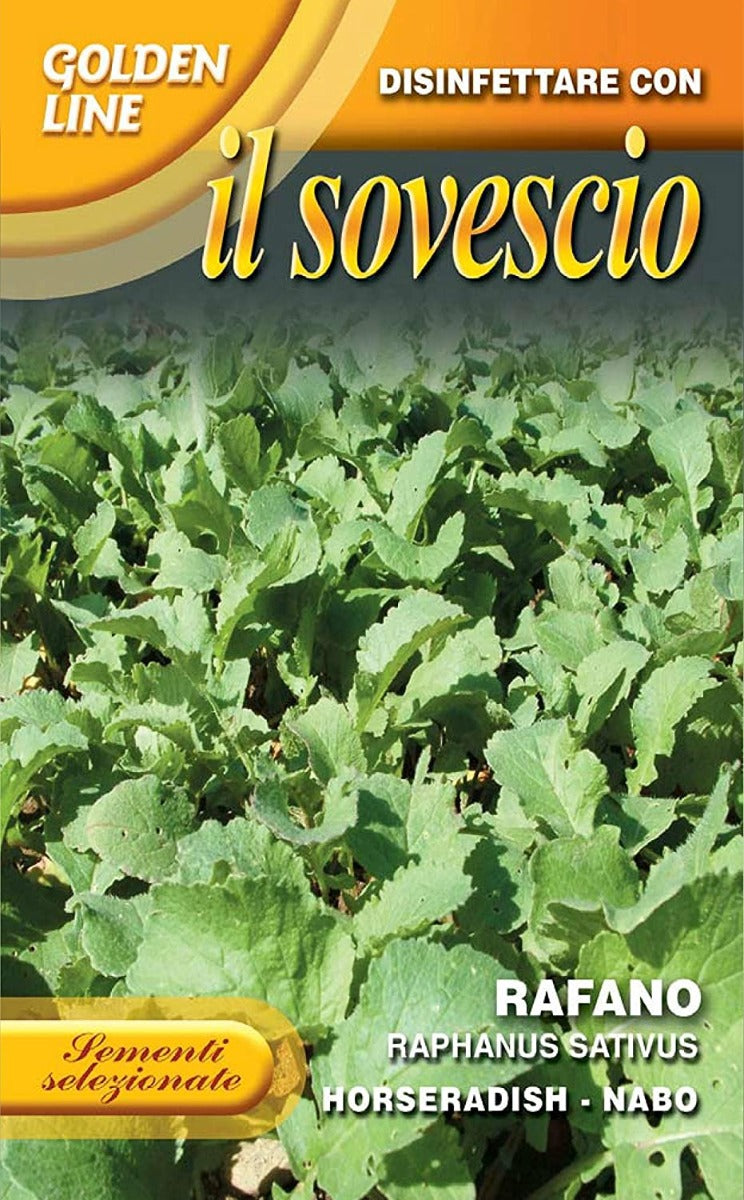 SEMI RAFANO GR.100 FRACHI SEMENTI